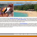 Maui Condo Vacation Rentals by Owner