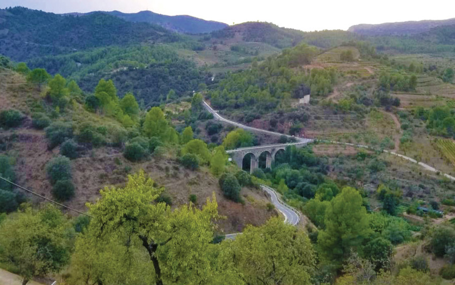 Fall News Wine Fall News