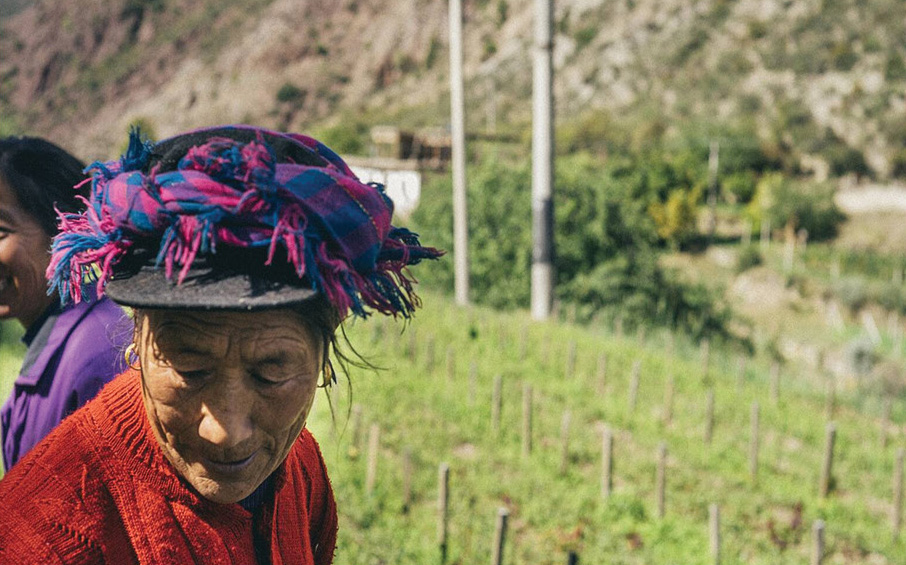 Wine Falls Wine Falls